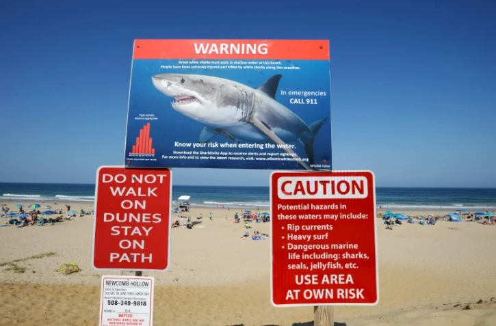 Un panneau met en garde les baigneurs contre les requins sur une plage de Cape Cod, dans l'Etat américain du Massachusetts, le 13 juillet 2019