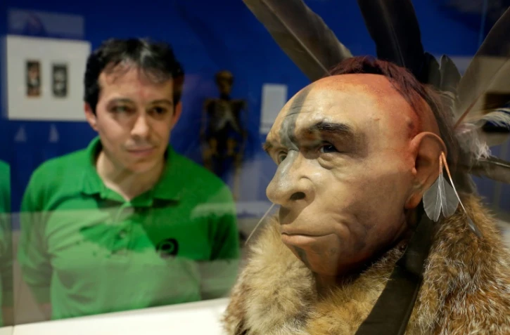 Un visiteur regarde une reconstitution scientifique du visage d'un homme de Néandertal, au Musée de l'évolution humaine de Burgos le 10 juin 2014
