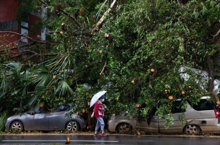 Des voitures recouvertes d'arbres déracinés à Keelung, le 1er novembre 2024
