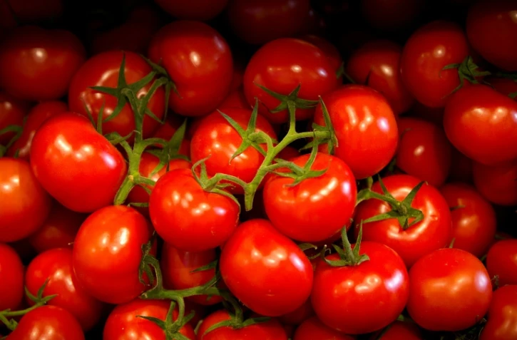Seuls 20% des consomateurs jugent agréable ou très bon le goût des tomates vendues en grandes surfaces