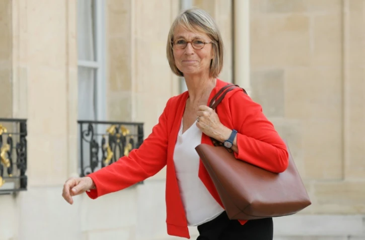 La ministre de la Culture Françoise Nyssen à l'Elysée à Paris le 31 mai 2018