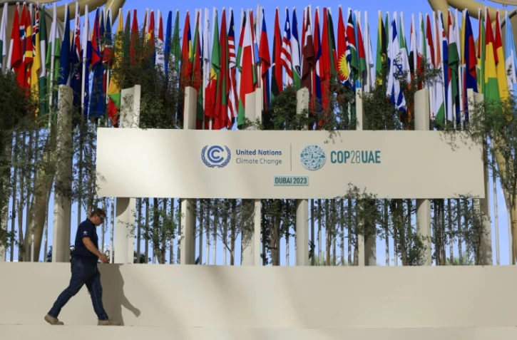 Les drapeaux des pays participants à la COP28, le 30 novembre 2023 à Dubaï