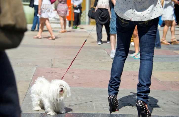 Chez les filles de 11 à 14 ans, le taux de maigreur a été quasiment multiplié par cinq en dix ans (de 4,3% à 19,6%)