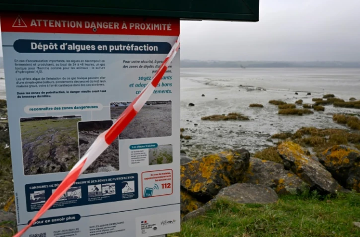 Une pancarte avertit du danger des dépôts d'algues en putréfaction à l'entrée d'une plage dont l'accès est fermé, le 18 janvier 2022 à Hillion, près de Saint-Brieuc