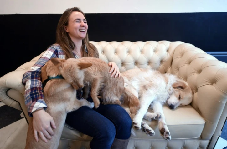Ophélie Poillon avec trois des neuf chiens qu'abrite "le Waf", son bar à chiens lillois, le 9 décembre 2016