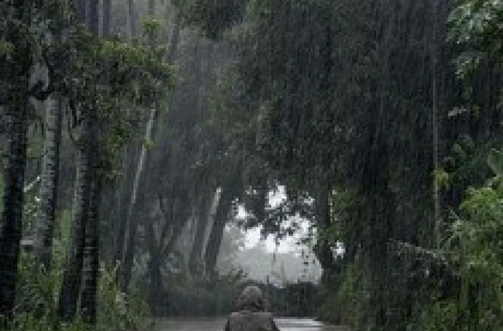 Mercredi 30 janvier 2008 -

De fortes pluies continuent de s'abattre sur La Réunion