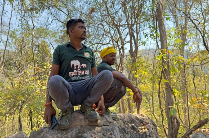 Des pisteurs de l'équipe "les amis de l'éléphant" tentent de localiser un troupeau sauvage dans une forêt à Dhawalpur, dans l'Etat de Chhattisgarh, le 12 mars 2025 en Inde