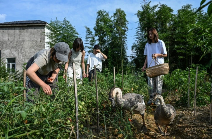 Chen Yani (d), fondatrice du lieu "L'Univers imaginaire de Keke", dans le potager du gîte rural avec des  participantes, le 14 juillet 2025 à Hangzhou, dans la province du Zhejiang, dans l'est de la Chine