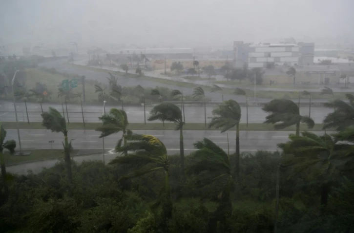 Des palmiers secoués par les vents et les pluies de l'ouragan Irma à Miami (Floride), le 10 septembre 2017 