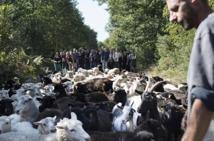 Des visiteurs découvrent la ZAD de Notre-Dame-des-Landes huit mois après l'abandon du projet d'aéroport 