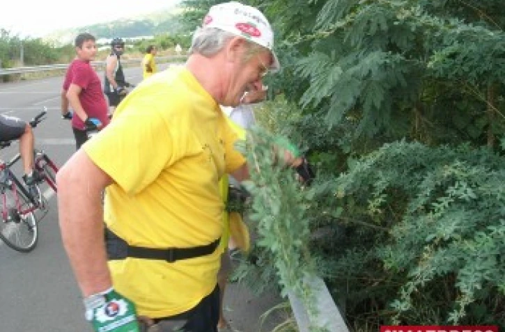 Une bande d'arrêt d'urgence envahie par des "zépinar", c'est dangereux pour les cyclistes