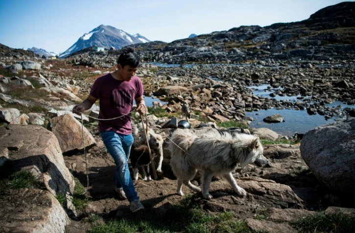 Michael Kunak, 25 ans, marche avec ses chiens au Groeland, le 16 août 2019