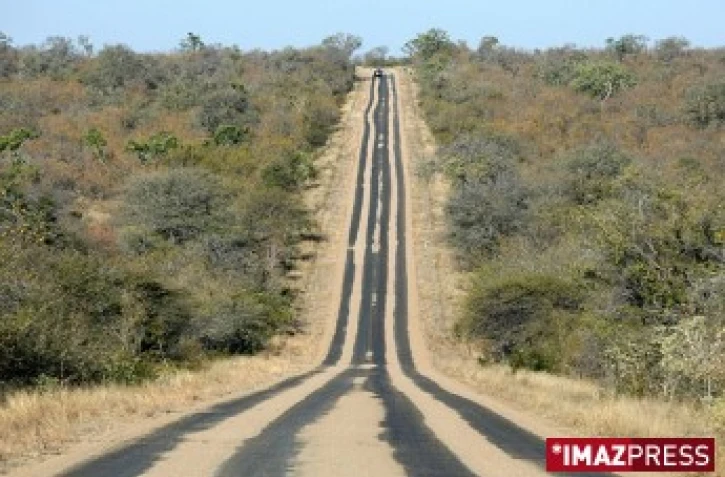Parc Kruger (Afrique du Sud)
