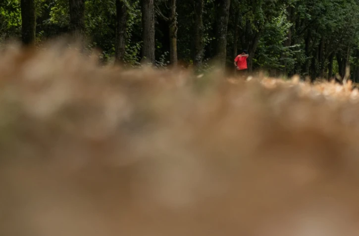Le 13 juillet 2026, en pleine vague de chaleur, un joggeur passe devant de la végétation desséchée dans le Bois de Vincennes, à l'est de Paris