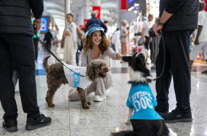 Une voyageuse caresse Alita et Kuki, des chiens de thérapie pour réconforter les passagers stressés avant leur embarquement à l'aéroport d'Istanbul, le 3 mai 2024 en Turquie
