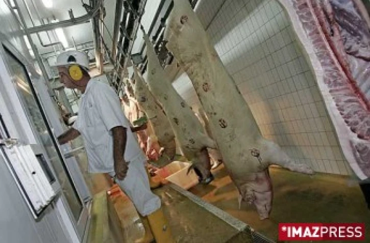 L'abattoir de Saint-Pierre