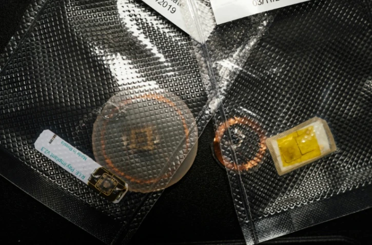 Des puces utilisées par le programmateur Vladislav Zaïtsev, adepte du "biohacking", le 27 novembre 2019 à Moscou.