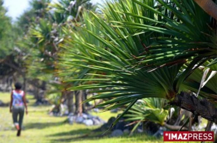 Ballade dans l'Est de l'île de la Réunion