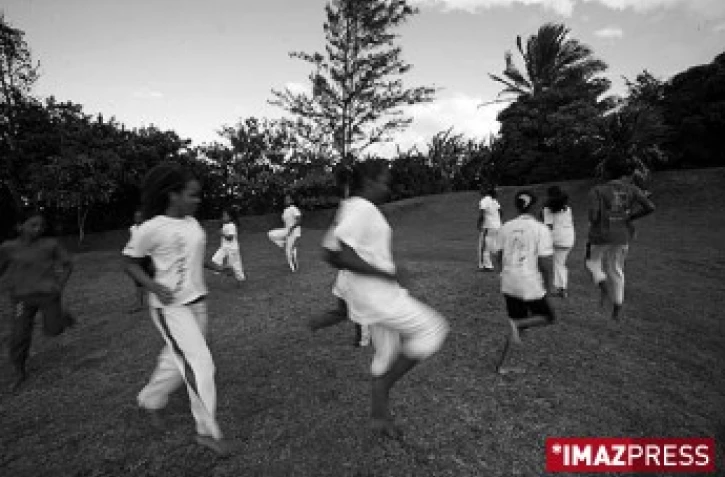 Moringue à Bagatelle dans l'est de l'île de la Réunion