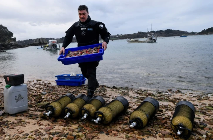 Emmanuel Urvoy un plongeur apporte une caisse remplie d'Ormeaux à Ploubazlanec le 21 décembre 2018