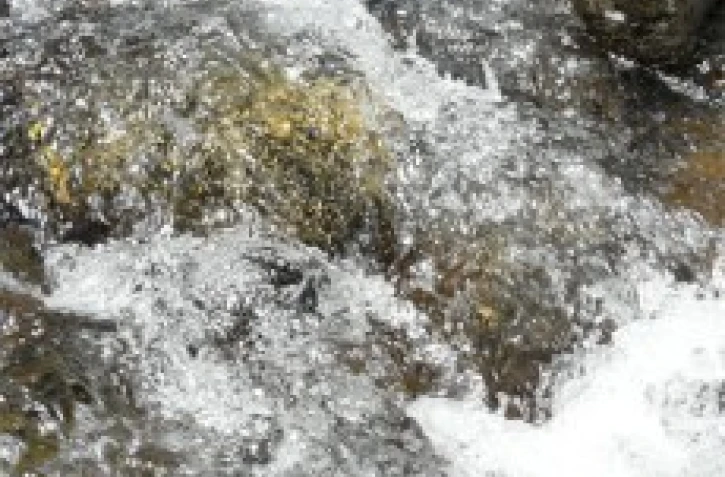 Cours d'eau