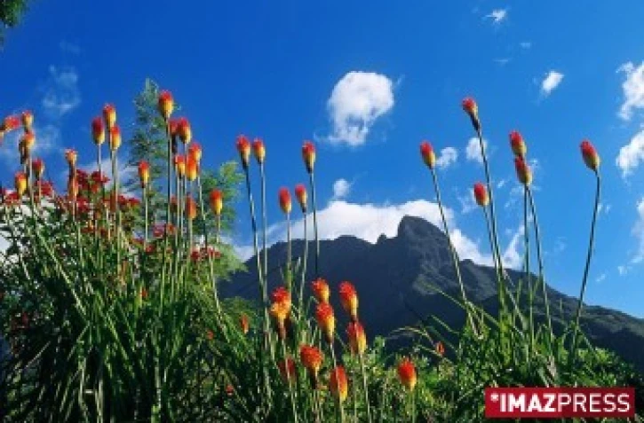 Paysage de la Reunion