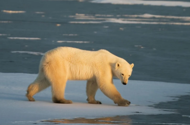 Une météo extrême accueille la nouvelle année