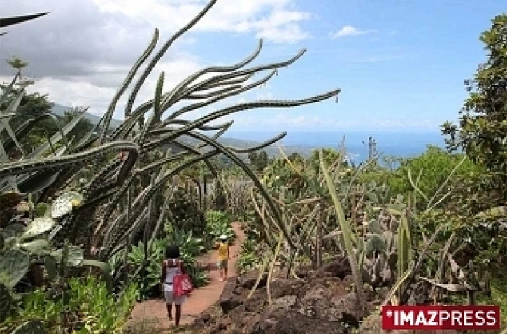 CONSERVATOIRE BOTANIQUE NATIONAL DE MASCARIN SAINT_LEU