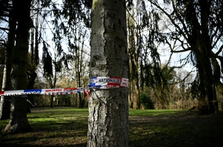 Le bois des Templiers, Longjumeau, le 8 février 2025
