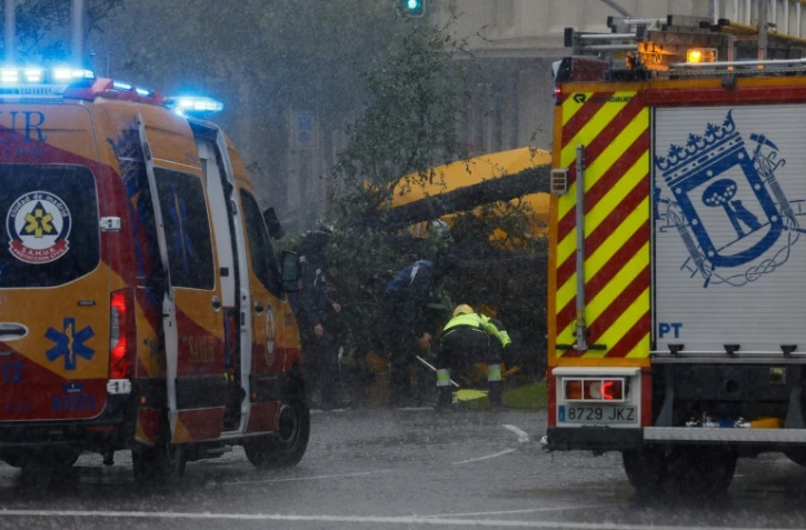 Des pompiers autour d'un arbre effondré, le 2 novembre 2023, à Madrid