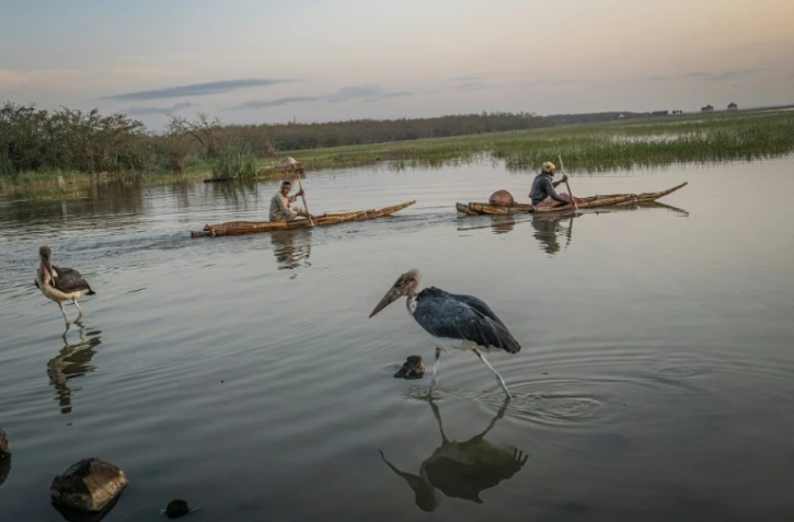 Des pêcheurs partent à l'aube à bord de pirogues traditionnelles sur le lac Dembel, l'un des lacs de la vallée du Rift central en Éthiopie, longtemps touché par la surexploitation et la pollution, le 20 mai 2025 à Batu 