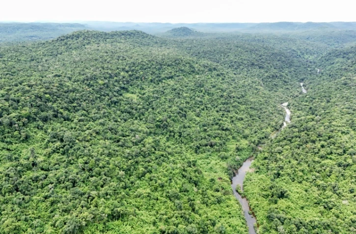Vue aérienne du parc national des Cardamomes, dans la province de Koh Kong, le 11 juin 2026 au Cambodge