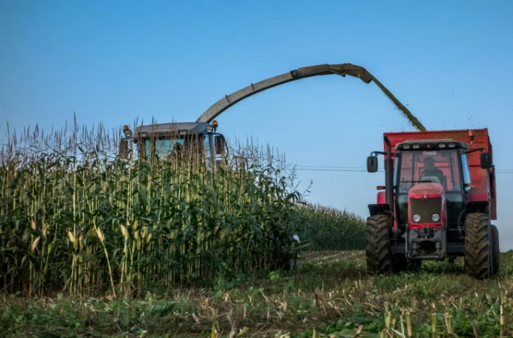 Les cultures OGM ne présentent pas plus de risques environnementaux et pour la santé que les récoltes conventionnelles, conclut un nouveau rapport de l'Académie américaine des sciences