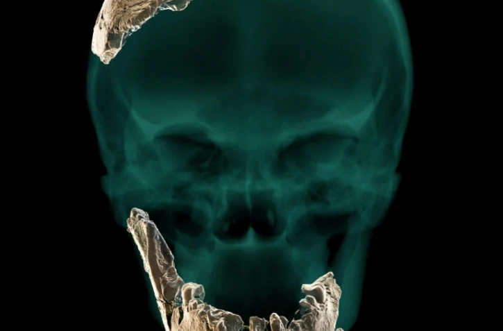 Image, diffusée le 24 juin 2021 par le département d'archéologie de l'Université hébraïque de Jérusalem et l'Université de Tel-Aviv, du crâne et de la mâchoire d'une nouvelle espère d'homme préhistorique