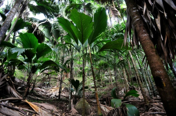 Le parquet de Nancy a ouvert une information judiciaire pour agression sexuelle à l'encontre d'un candidat de l'émission Koh Lanta après la plainte déposée par une participante