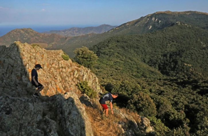 Deux randonneurs parcourent la forêt de Massane le 30 juillet 2021