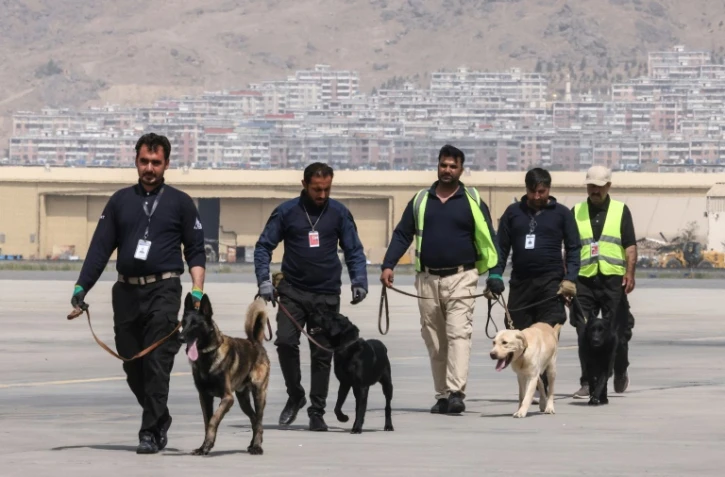Des chiens, abandonnés lors des évacuations chaotiques après le retour des talibans, lors d'un entraînement à l'aéroport de Kaboul, le 12 septembre 2021