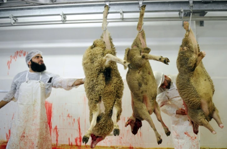 Des employés préparent des moutons avant l'Aïd al-Adha (fête du sacrifice musulmane) dans un abattoir du Mans le 4 octobre 2014