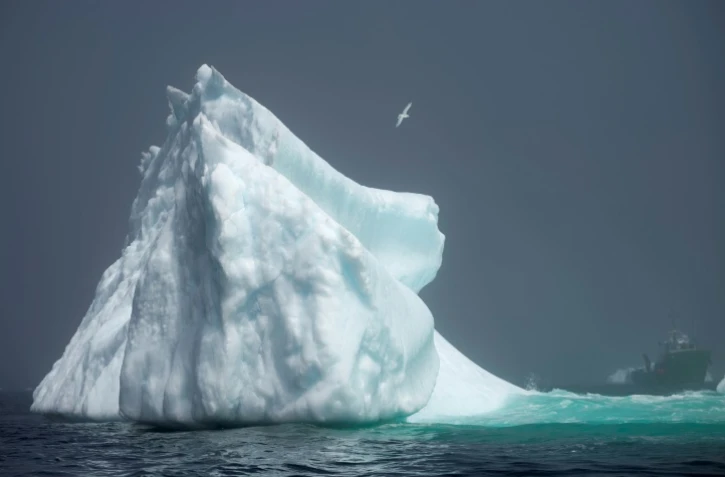Un iceberg qui s'aventure plus loin dans les eaux canadiennes de la baie de Bonavista le 29 juin 2019 Ă Terre-Neuve
