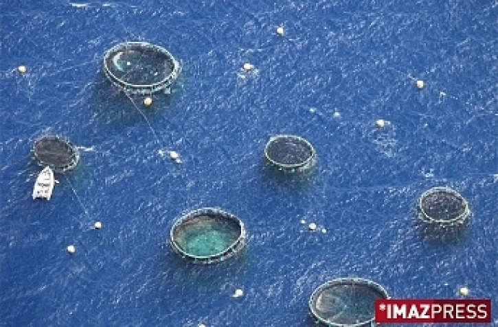 Ferme aquacole au large de Saint-Paul