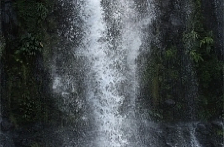 Cascade dans l'ouest de l'île