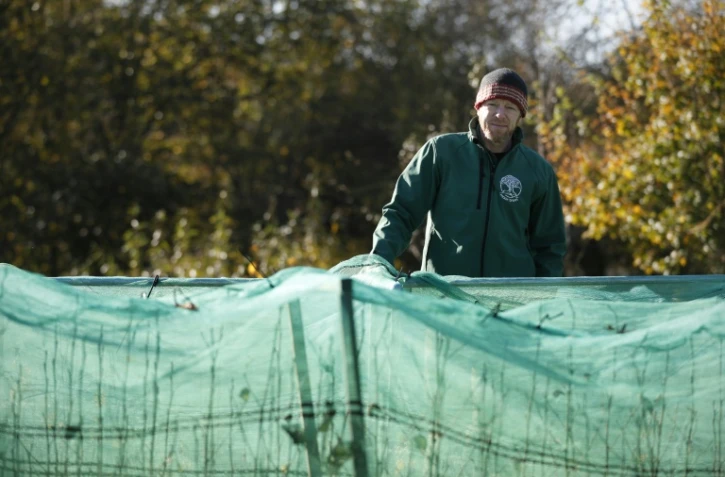Adam Owen, directeur de la pépinière Moor Trees, le 22 novembre 2021 près de Totnes, dans le sud-ouest de l'Angleterre