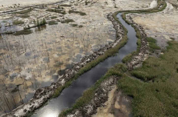 Vue d'une ancienne forêt autrefois utilisée pour l'extraction illégale d'ambre, dans le nord-ouest de l'Ukraine, le 19 mai 2026