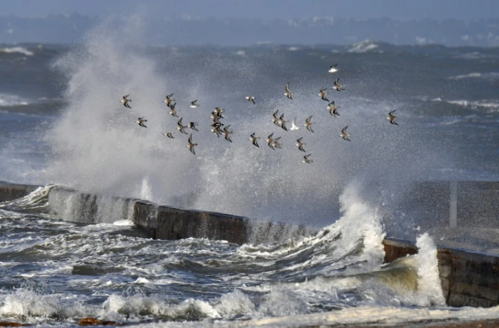 Des vagues s'écrasent sur les côtes de Préfailles (ouest de la France), le 1er janvier 2018 