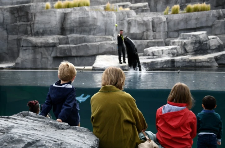 Des enfants retrouvent le parc zoologique de Vincennes qui a rouvert ses portes après trois mois de fermeture, le 8 juin 2020 à Paris