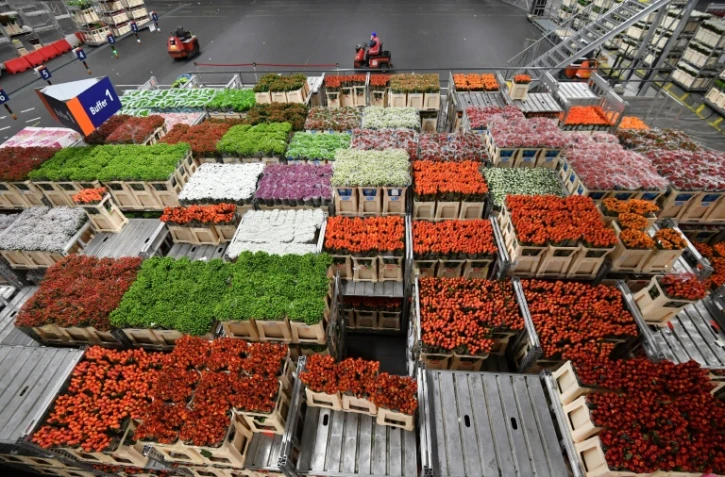 Le Royal Flora Holland d'Aalsmeer, le plus grand marché de fleurs au monde, près d'Amsterdam, le 11 décembre 2018 aux Pays-Bas