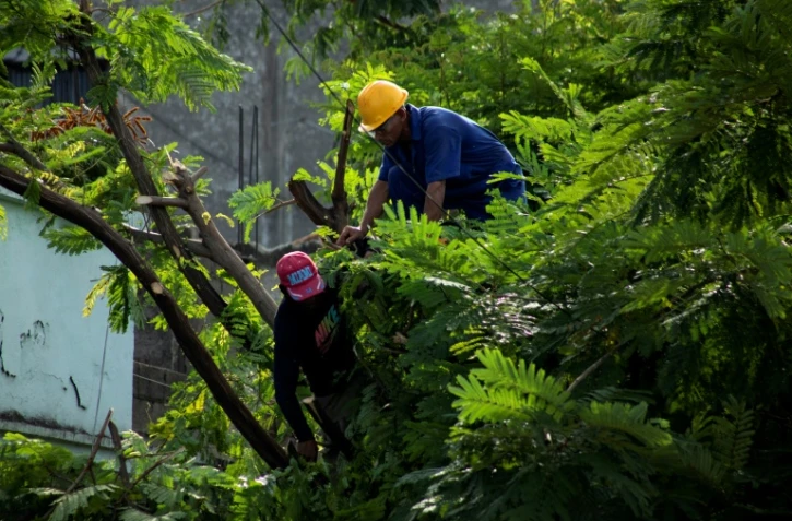 Une équipe élague des arbres avant l’arrivée de l’ouragan Melissa à Santiago de Cuba, le 25 octobre 2025.