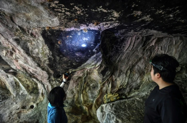 Des archéologues thaïlandais devant des peintures rupestres découvertes au parc national de Sam Roi Yot, au sud-ouest de Bangkok, le 10 septembre 2020 
