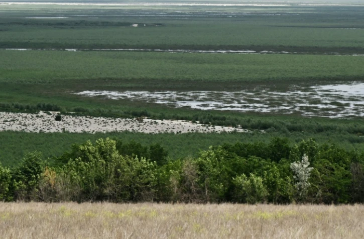 Les rives du réservoir artificiel de Kakhovka, dans la région de Kherson, dans le sud de l'Ukraine, le 3 juin 2024