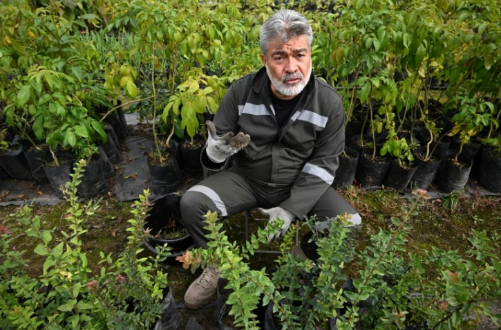 L'ancien général Henry Torres dans la pépinière où il travaille à la prison de Bogota, le 17 avril 2024 en Colombie